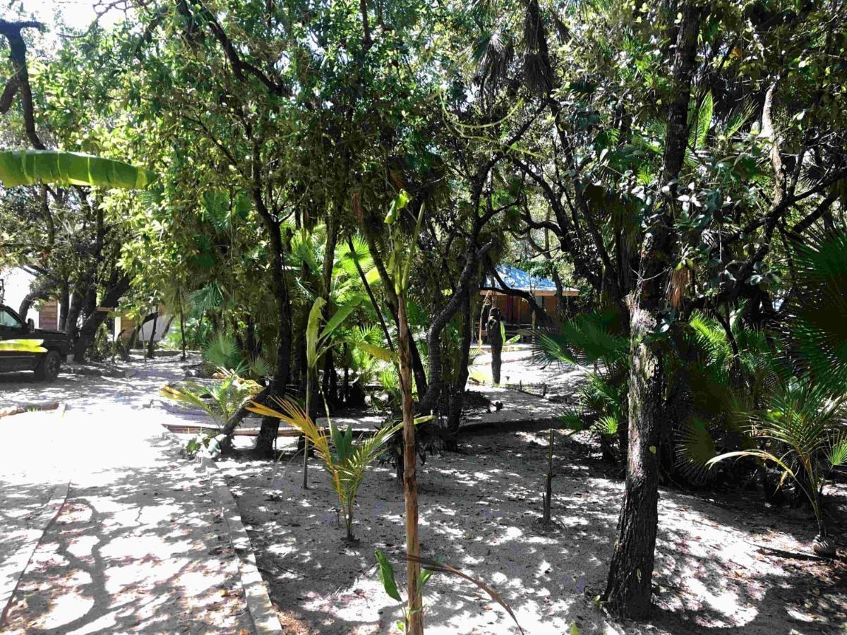 Kin Resort Lodge Maya Beach エクステリア 写真
